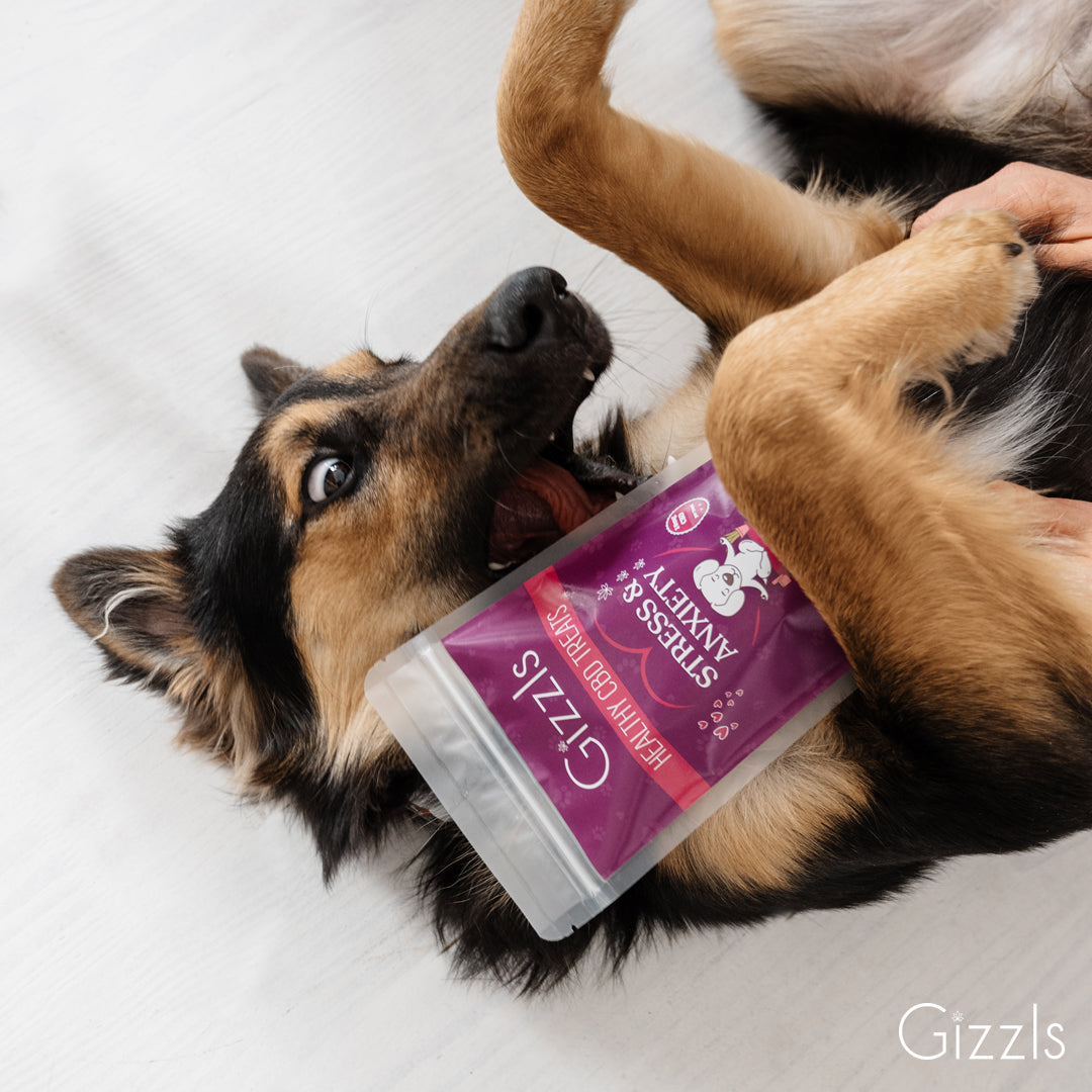 Gizzls Stress & Anxiety CBD Treats (for small dogs)