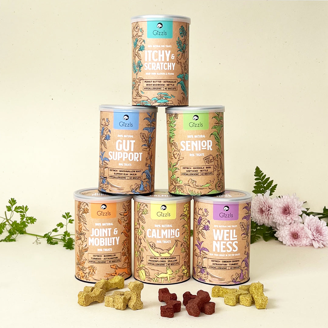 Gizzls Botanicals Daily Wellness Dog Treats