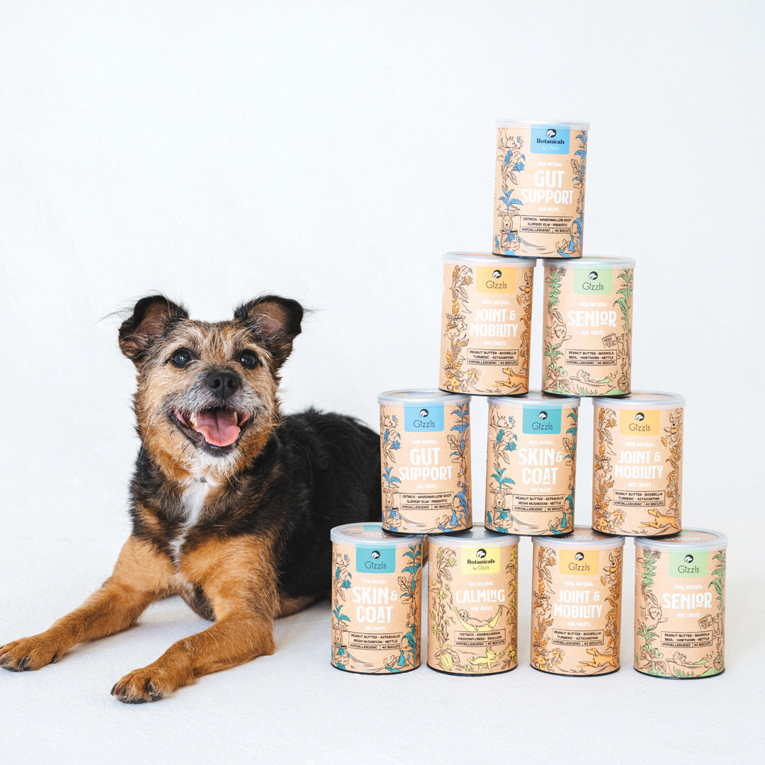 Gizzls 100% Natural Dog Treats for Joint & Mobility