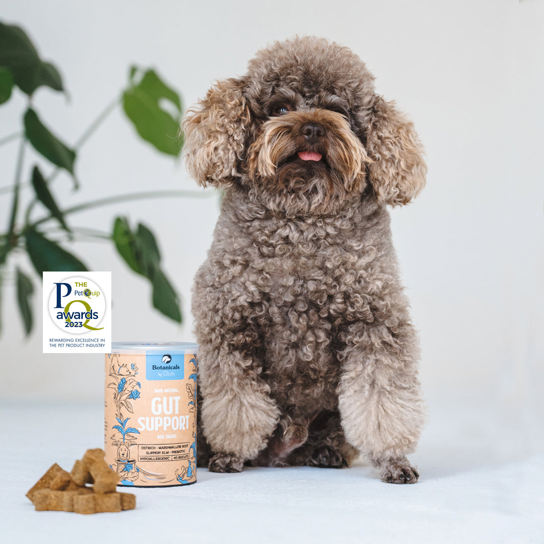 Gizzls 100% Natural Dog Treats for Gut Support