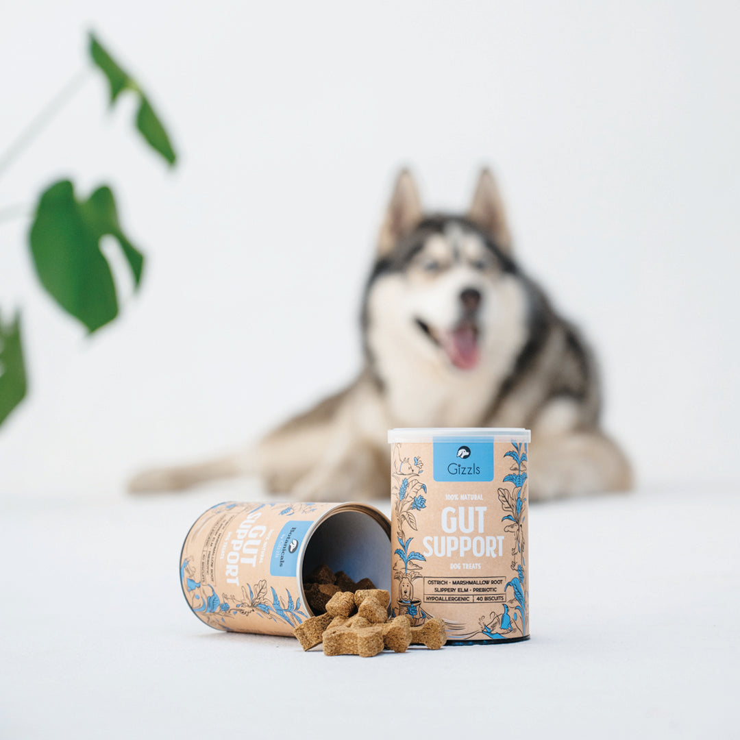 Gizzls 100% Natural Dog Treats for Gut Support