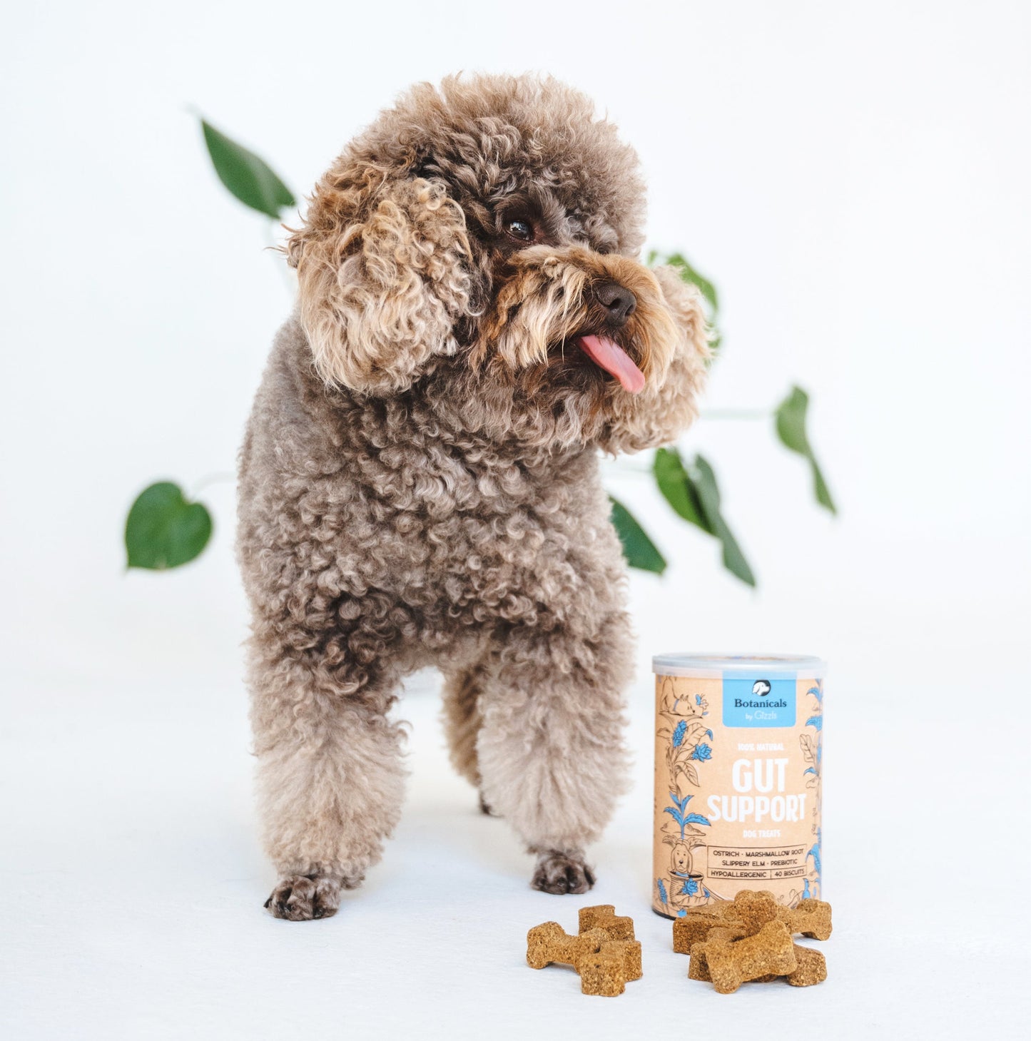 Gizzls 100% Natural Dog Treats for Gut Support