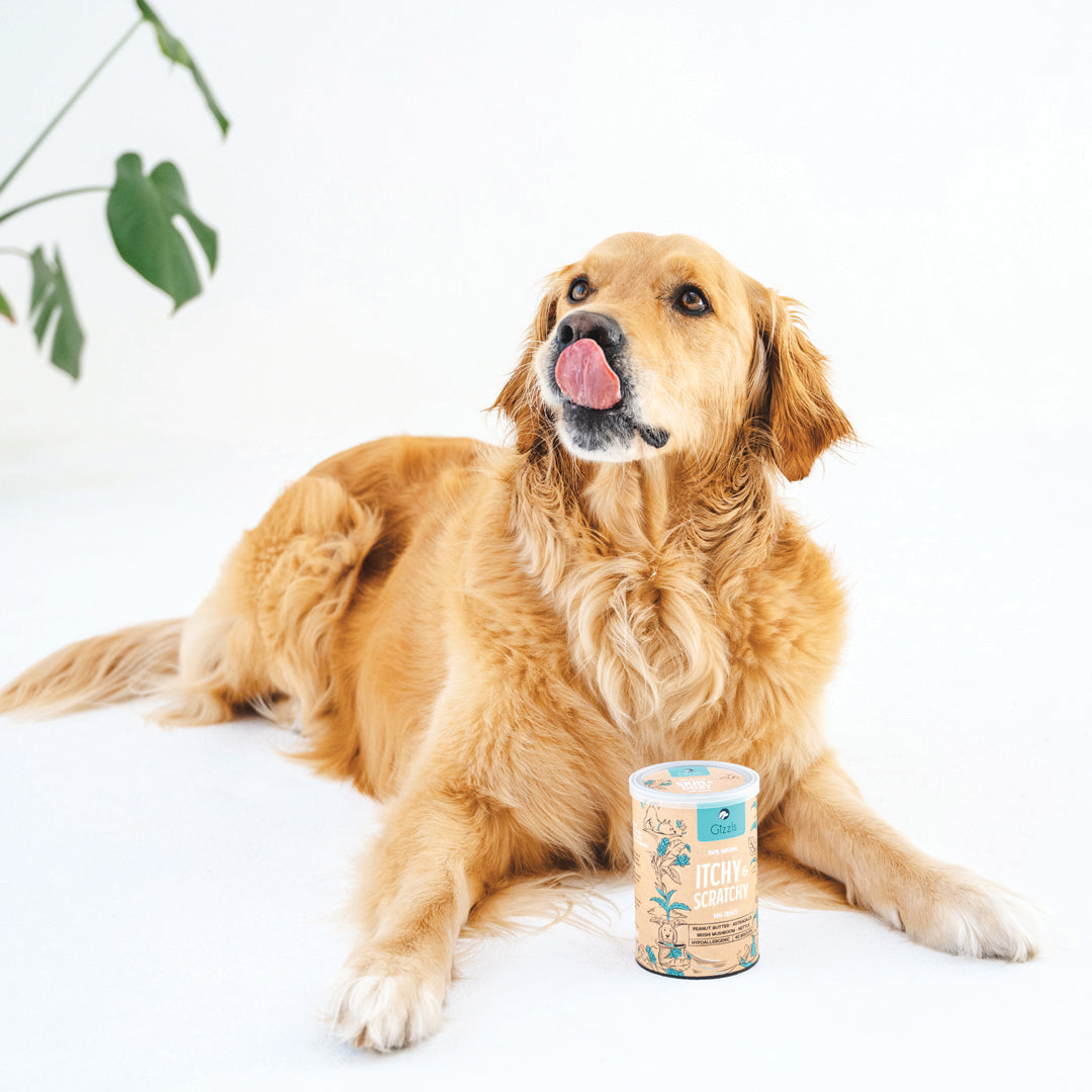 Gizzls 100% Natural Dog Treats for Allergies and Immunity