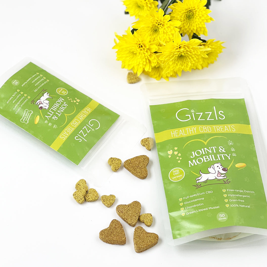 Gizzls CBD Dog Treats for Joint & Mobility (small dogs)