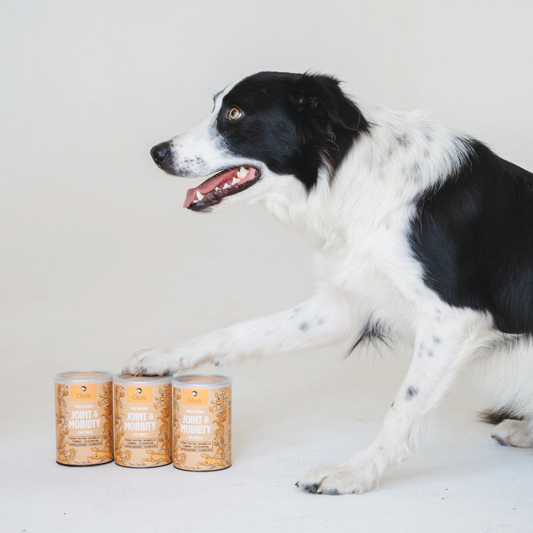 Gizzls 100% Natural Dog Treats for Joint & Mobility