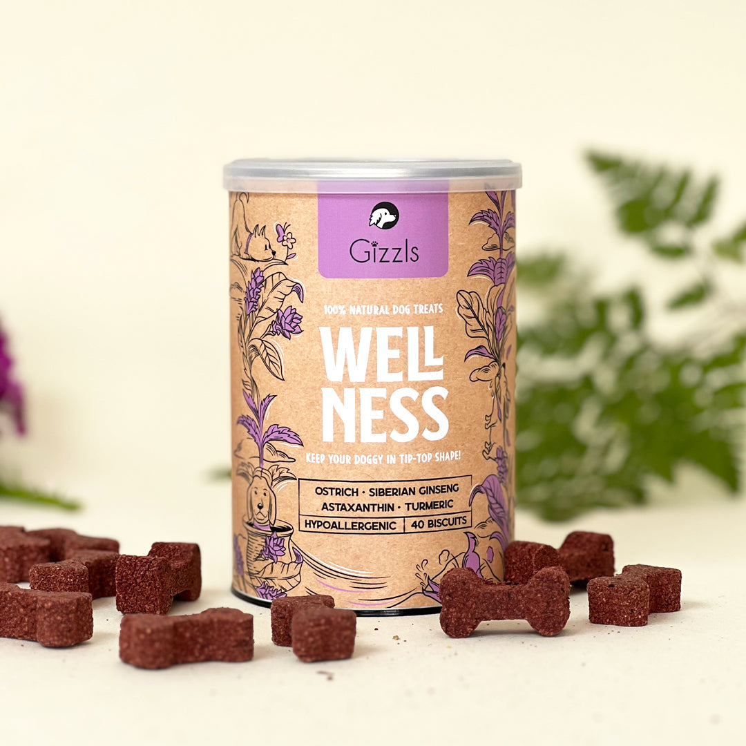 Gizzls Botanicals Daily Wellness Dog Treats